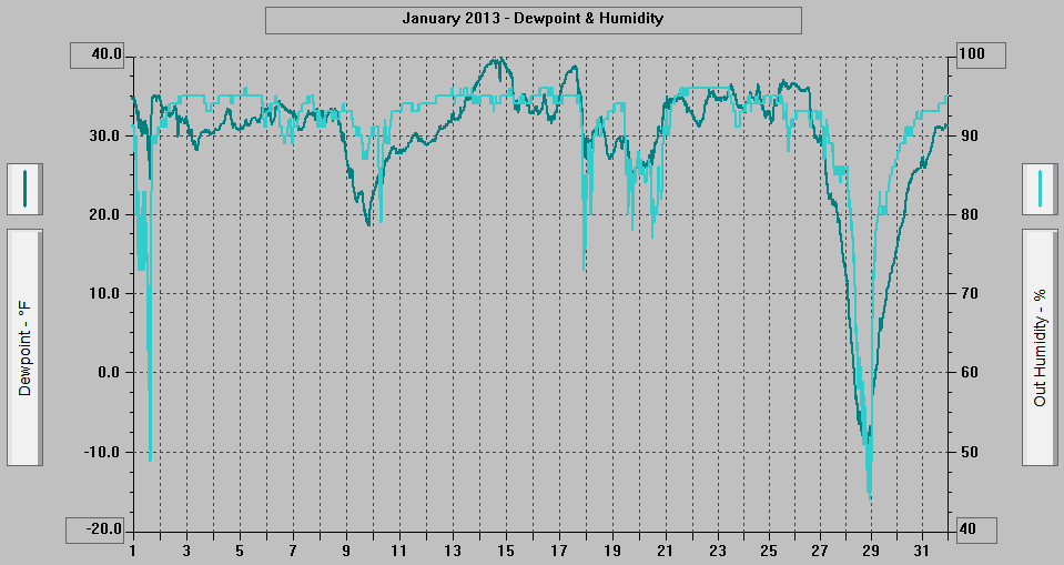 January 2013 - Dewpoint & Humidity.