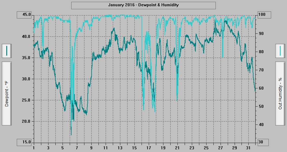 January 2016 - Dewpoint & Humidity.