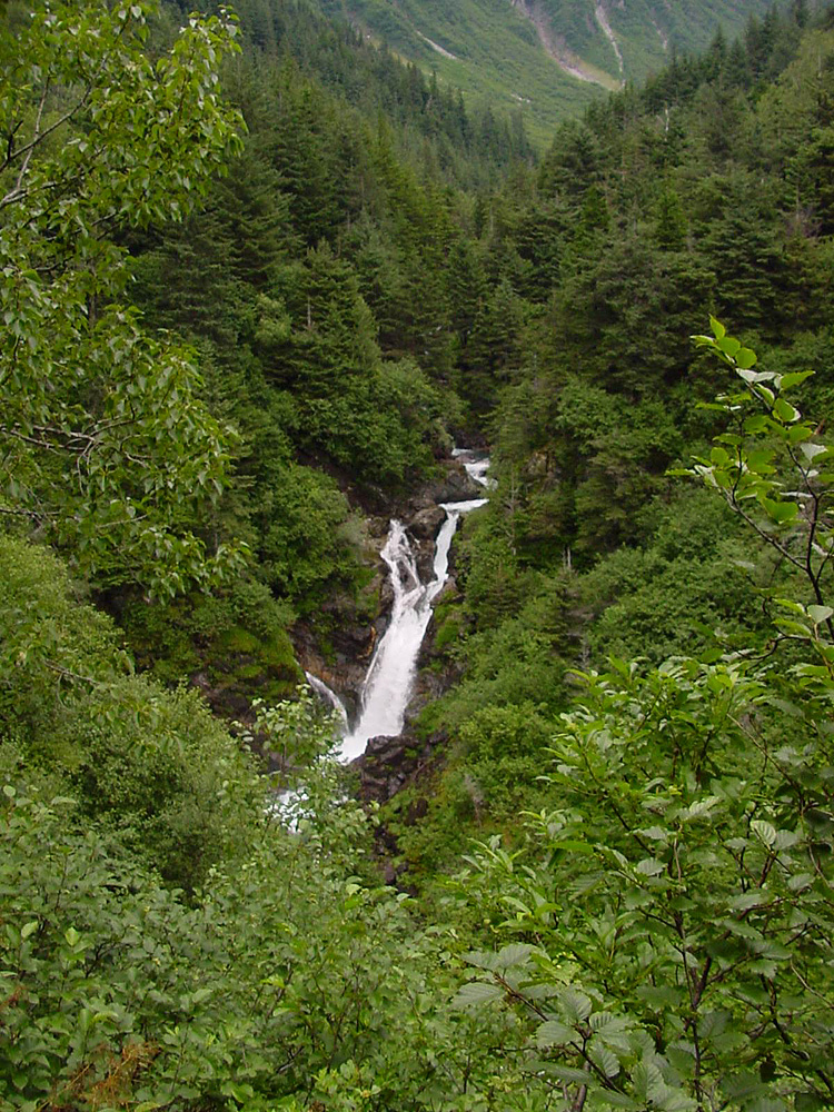 Ebner Falls on Gold Creek from the Perseverance Trail.