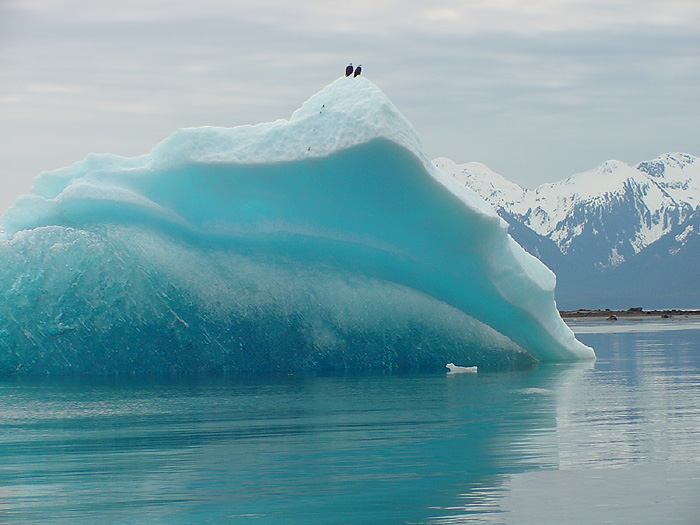 Iceberg With Two Bald Eagles.