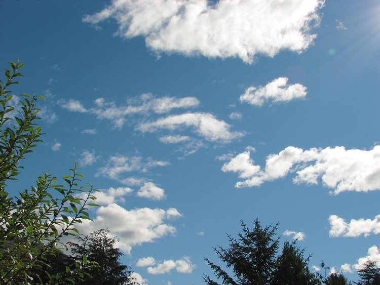 Blue Sky, White Clouds, and Green Trees.