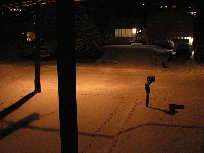 Snow Illuminated by a High Pressure Sodium Street Light.