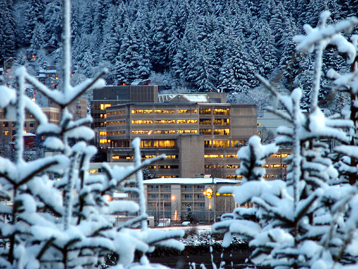 Snow Covered Spruces and the State Office Building.