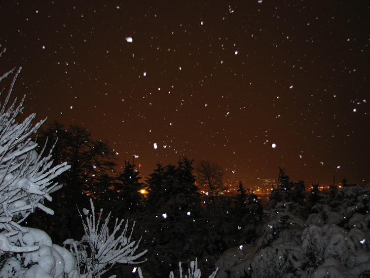 Snow Falling in the Darkness of Early Morning.