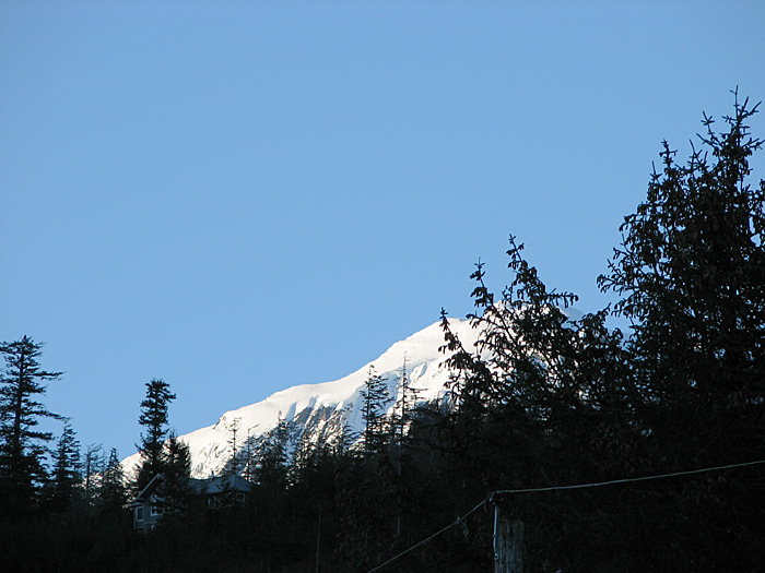 Mt. Bradley (Mt. Jumbo) from Nowell Avenue.
