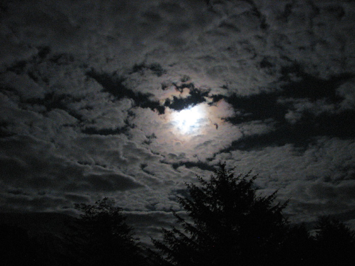 Moonlit Clouds.
