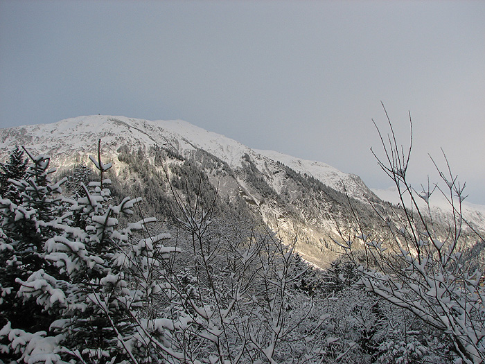 Snow Covered Mt. Juneau.
