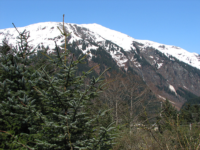 Mt. Juneau on May 7, 2013.