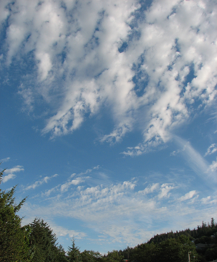 Clouds in a Blue Sky Looking SE from the West Juneau Weather Station.