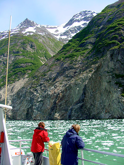In Tracy Arm Fjord.