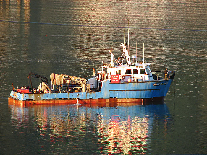 A vessel of the fishing fleet moored off West Juneau on the Douglas Island side of Gastineau Channel.