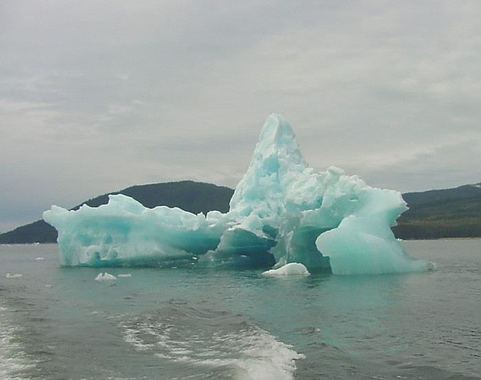 Iceberg at Holkham Bay.