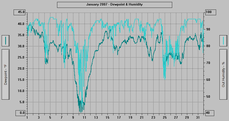 January 2007 - Dewpoint & Humidity.