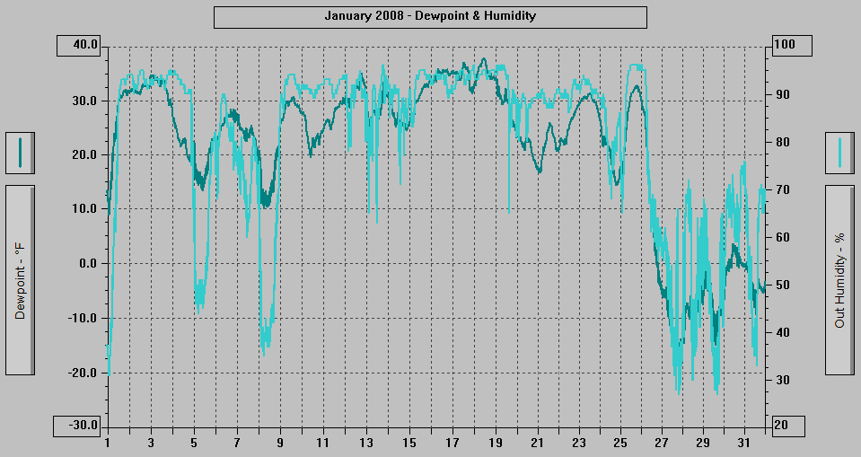 January 2008 - Dewpoint & Humidity.