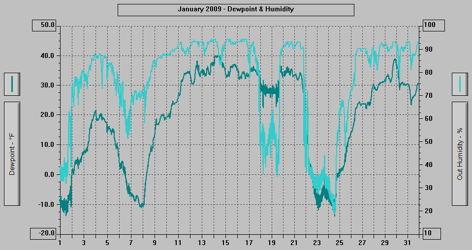 January 2009 - Dewpoint & Humidity.