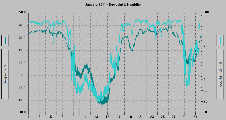 January 2011 - Dewpoint & Humidity.