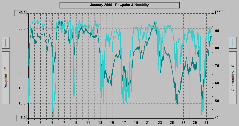 January 2006 - Dewpoint & Humidity.